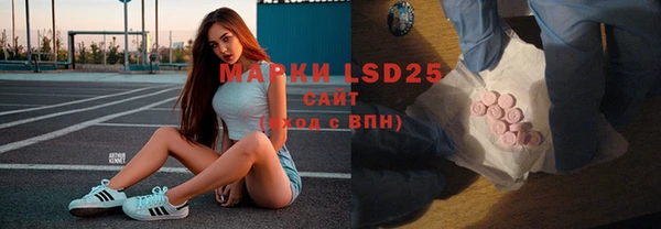прущие грибы Армянск