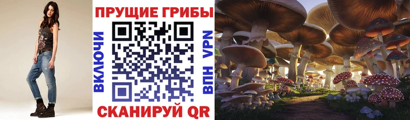 Псилоцибиновые грибы MAGIC MUSHROOMS  Усмань 